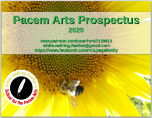 Pacem Arts Prospectus 2020